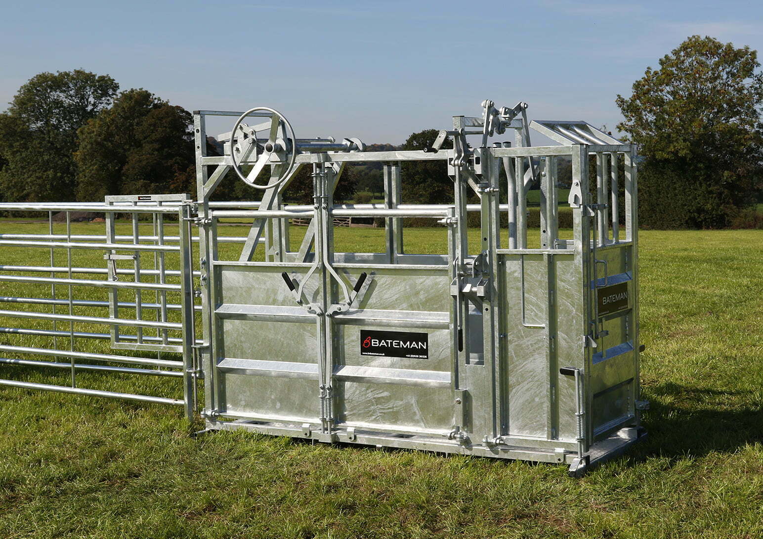 Bateman Ambassador Crush