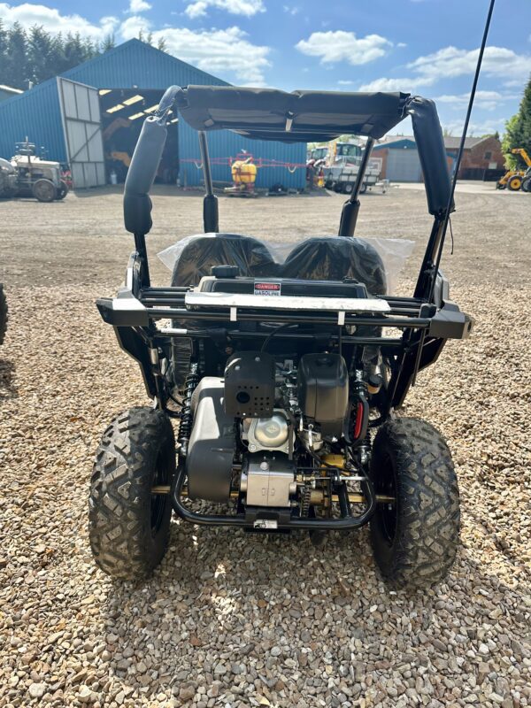 Quadzilla Twister off-road buggy - Image 7