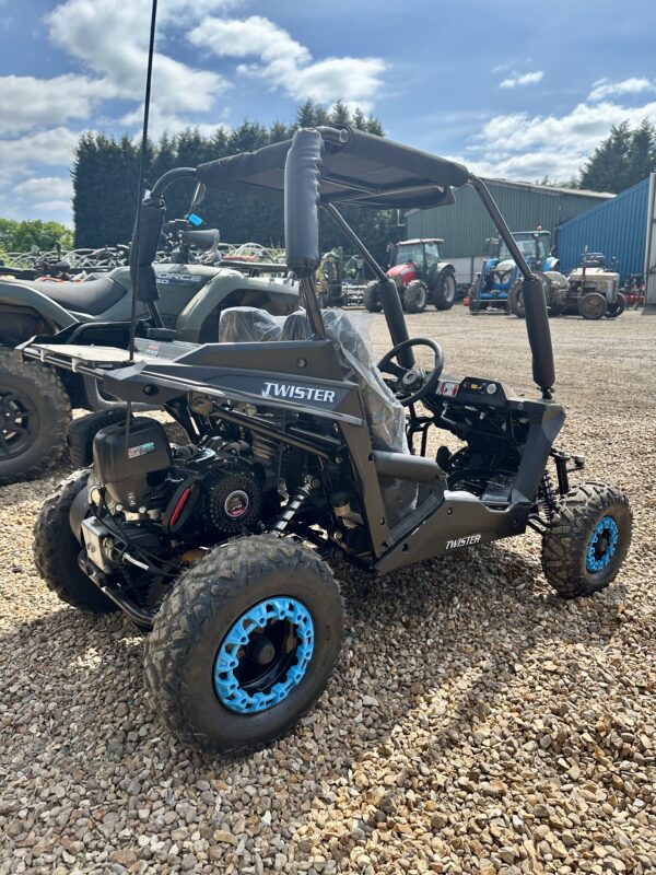 Quadzilla Twister off-road buggy - Image 5