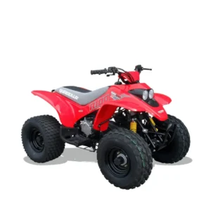 Quadzilla R100 Junior ATV
