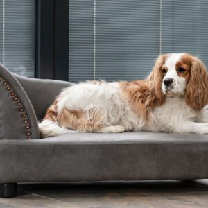 Chaise Lounge Dog Sofa
