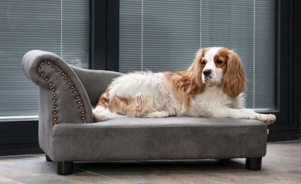 Chaise Lounge Dog Sofa 1