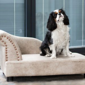 Chaise Lounge Dog Sofa