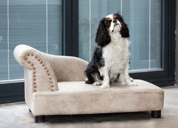 Chaise Lounge Dog Sofa 2