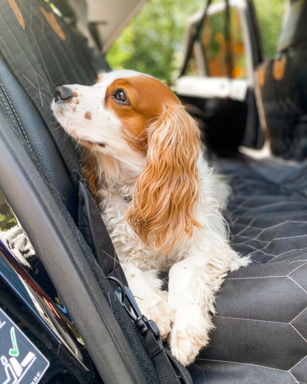 DOG/PET CAR SEAT HAMMOCK TRAVEL 4 IN 1