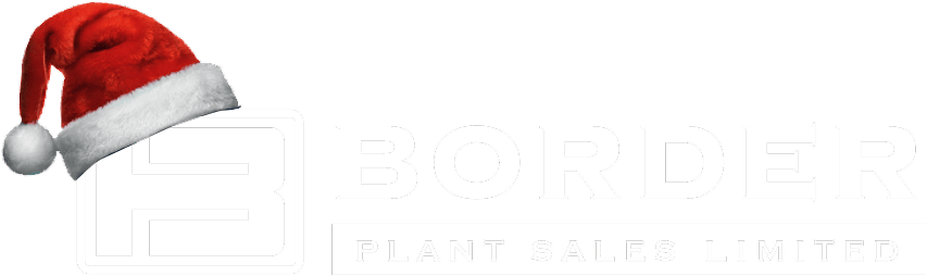 borderplant white logo