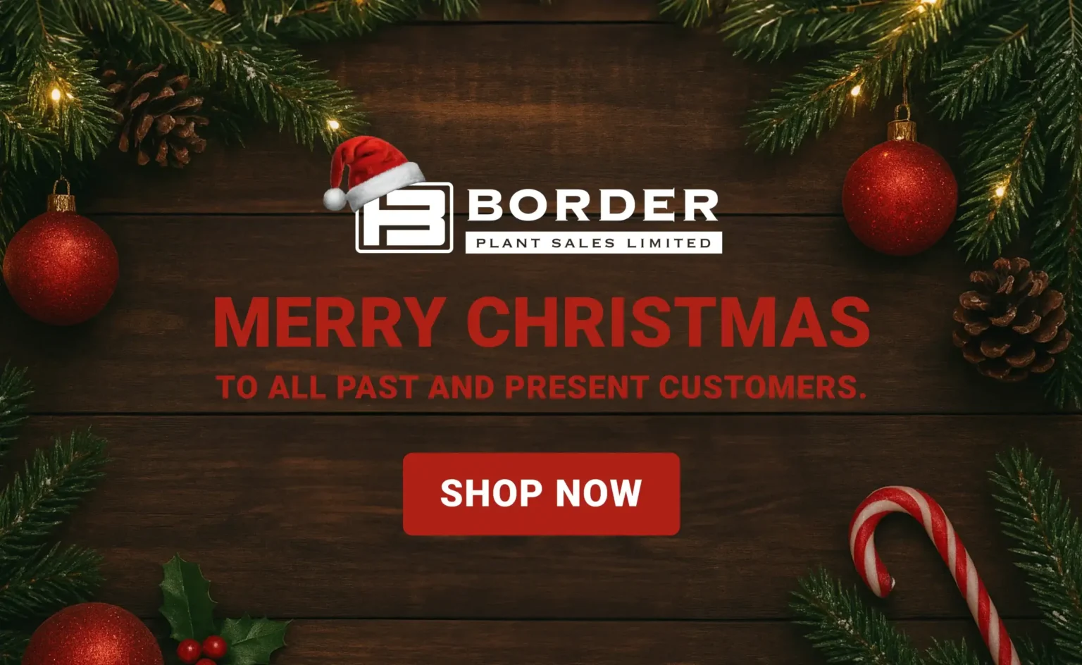 christmas popup banner